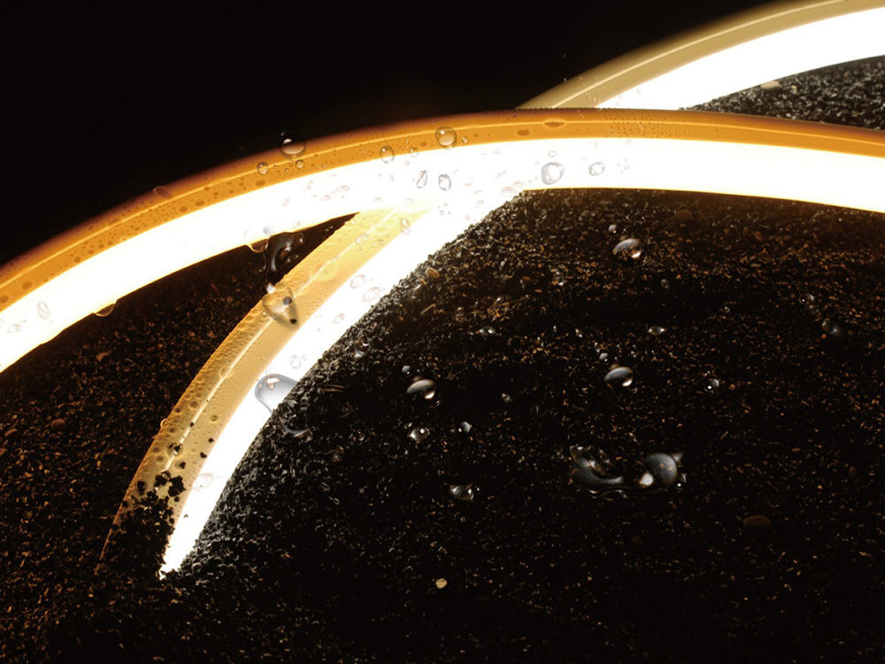 1749459136544432.jpg fdt20210929.jpg